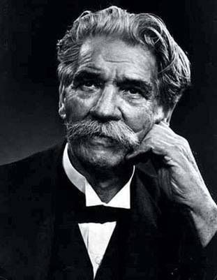 史怀哲 albert schweitzer