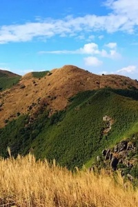 罗浮山1天丨惠州罗浮山飞云顶主峰穿越徒步竹林云海行摄行走一日游