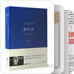 中国现代诗流变研究