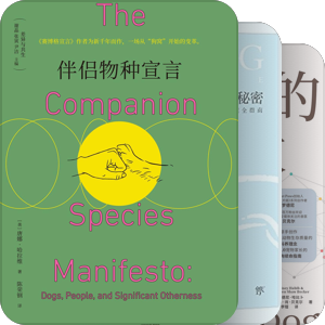 狗勾养护指南