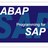 SAP ABAPer