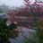 市橋