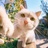 猫南北