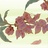 阿惩