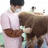 宠物美容师C级