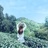 夏果果