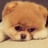 忘了黑