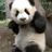 必有回响