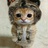 宋先森