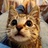 猫宁