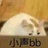 皮皮