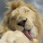Uncle_Gahou