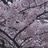 逗逗