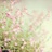 婉琳文化传播