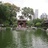 忘记旧时光
