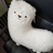 钢铁侠