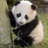 乐无忧