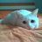 jz_cat