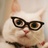 骑鱼的猫老师