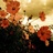 Ｓ_ＪustＮow