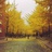 Twenties&ahead