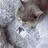 猎暄