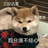 青桔柠檬真好喝