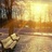 Zhao_gh