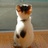 neko