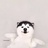 玖