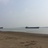 小米粒儿