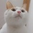 蒙
