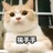 喵 了个咪 