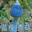 红掌花开