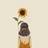 爱哭的向日葵🌻