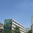 高原爱吃瓜