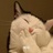 myself随记