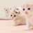 猫七i