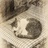 小猫咪咪羊
