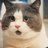 小猴子