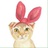 _Orange 