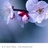 Edwin Zhang