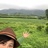 小風車（sun）陶