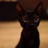 猫里个咪