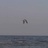海阔天空