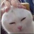 达克·扬·黑脚