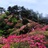 岁月静好