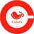 CAFEEX2017