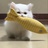 春眠不觉晓