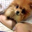 Fan人__